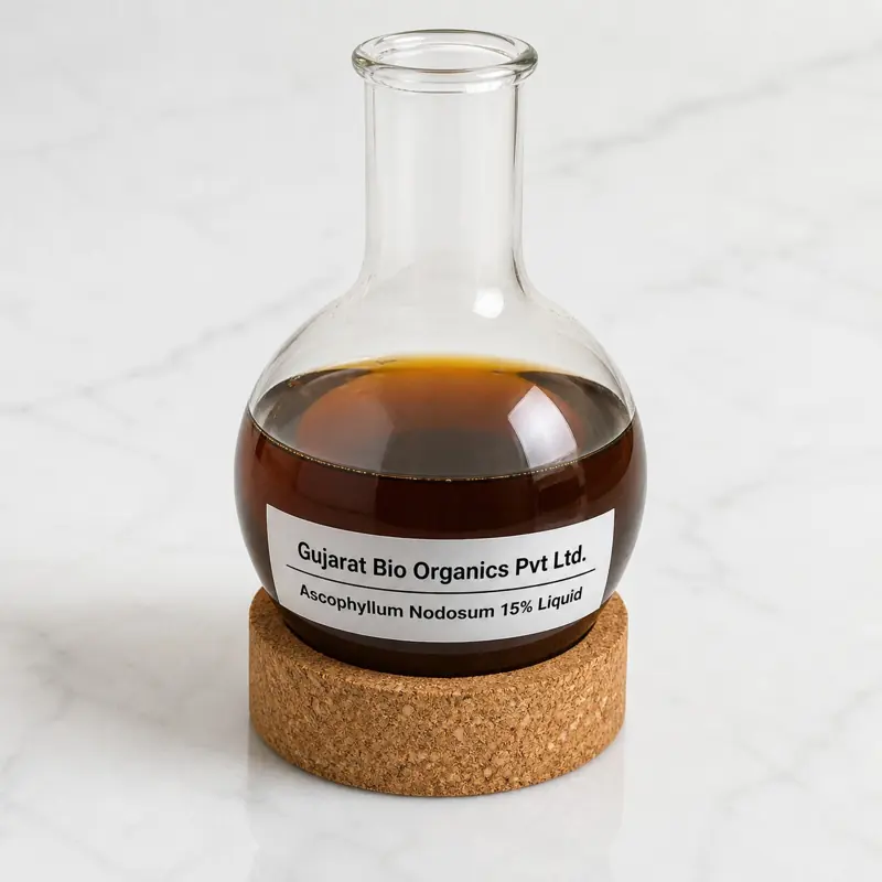 Ascophyllum nodosum 15% liquid