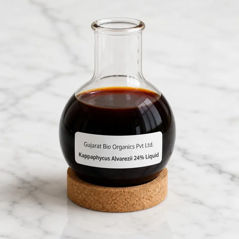 Kappaphycus alvarezii 24% liquid seaweed extract in a beaker