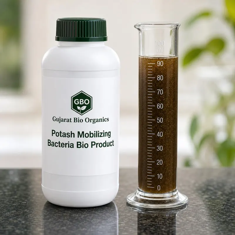 Potash mobilising bacteria sample