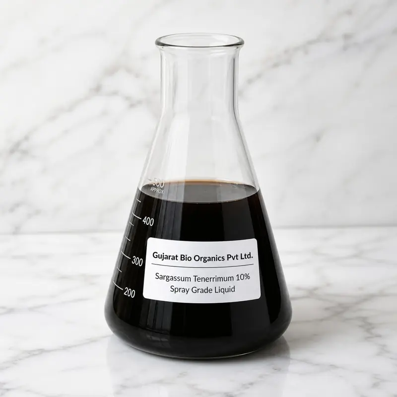 Sargassum tenerrimum 10% liquid, illustrative sample image