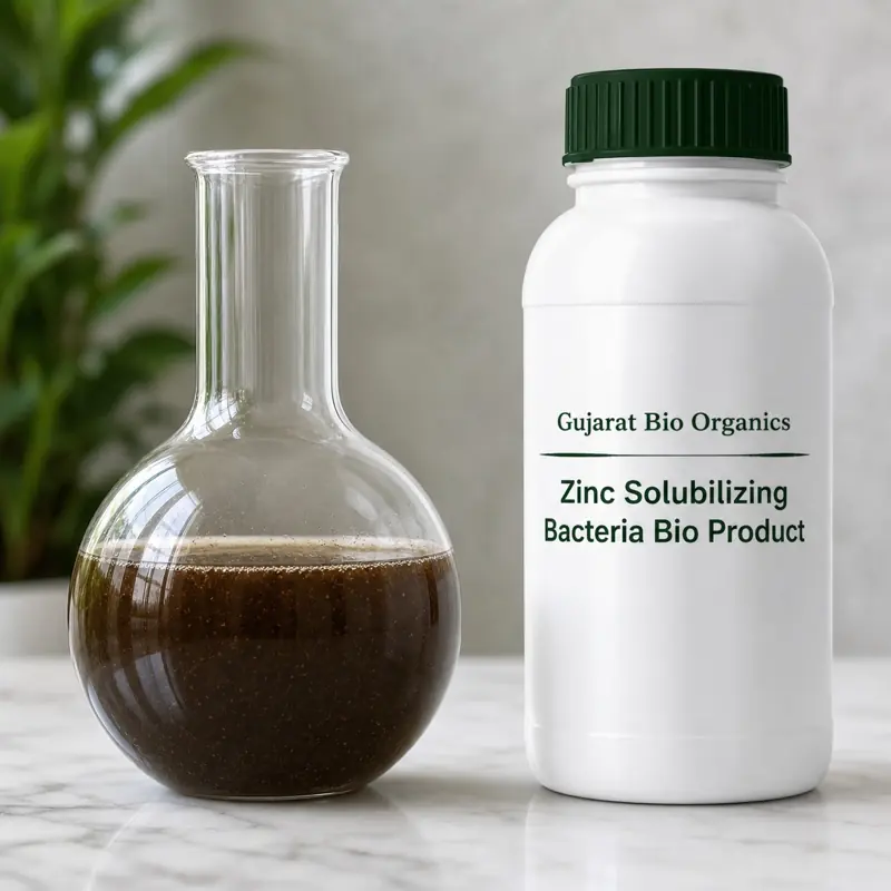 Zinc solubilising bacteria sample